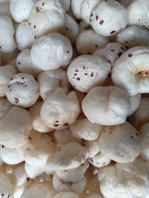 Large crunchy fox nuts macro shot